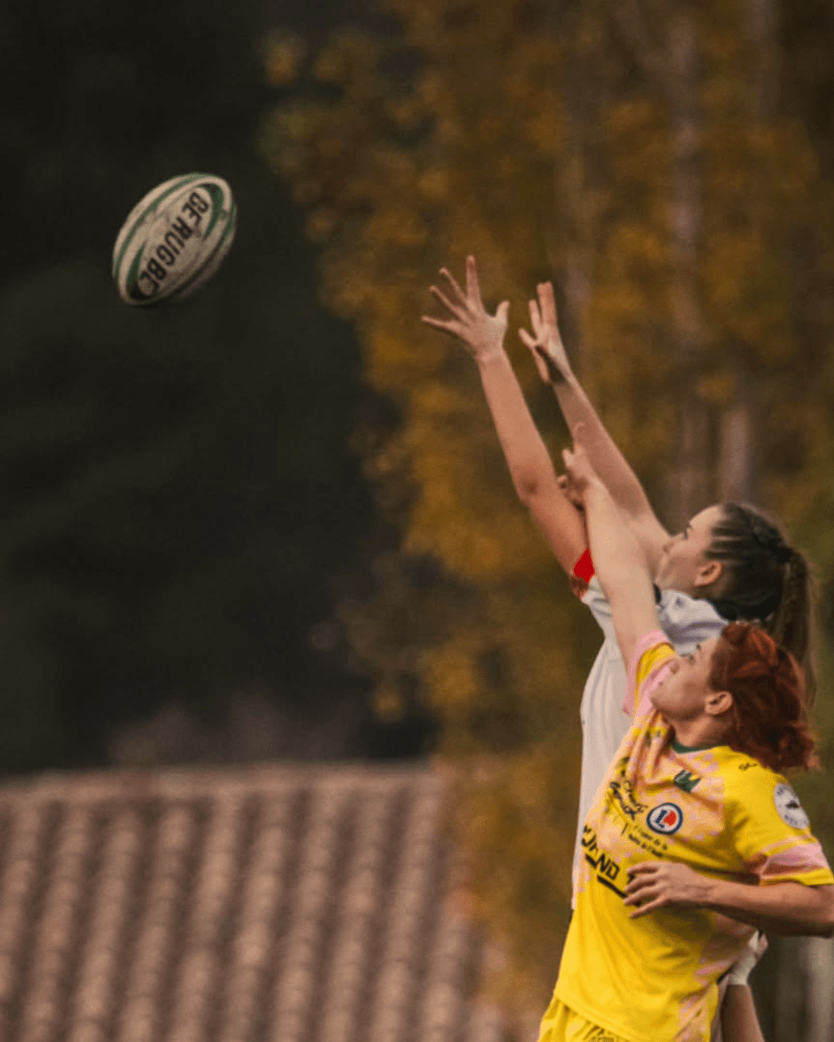 RCL XV